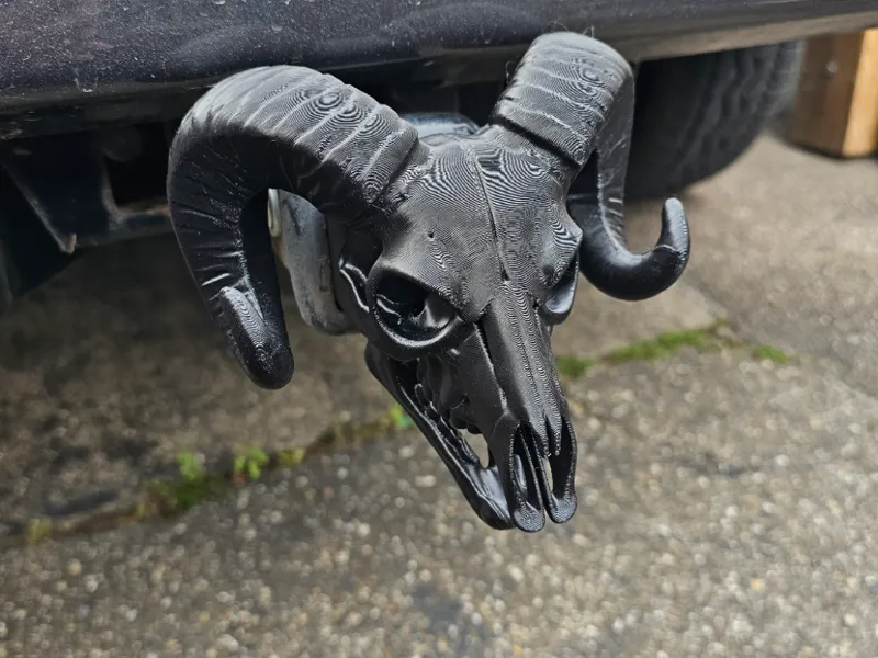RAM skeleton head insert for trailer hitch