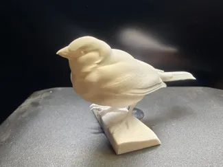 Series - 10 most popular polish birds - 01 Sparrow