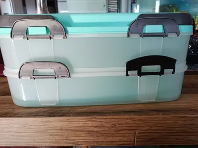 Cake lid