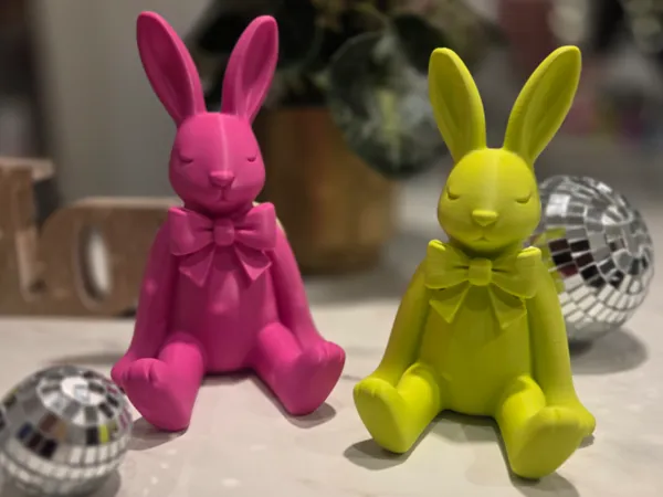 https://makerworld.bblmw.com/makerworld/model/USf34e891954410f/design/2026-01-06_01ede105d281e.jpg