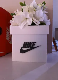 Jardinière boîte à chaussures Nike — photo 3