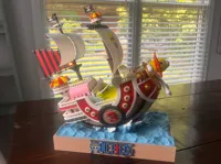 Panneaux en bois pour le modèle du Thousand Sunny — photo 1