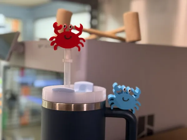 https://makerworld.bblmw.com/makerworld/model/USf357fee5a67bbf/design/2025-02-15_d8efc83092f15.jpeg