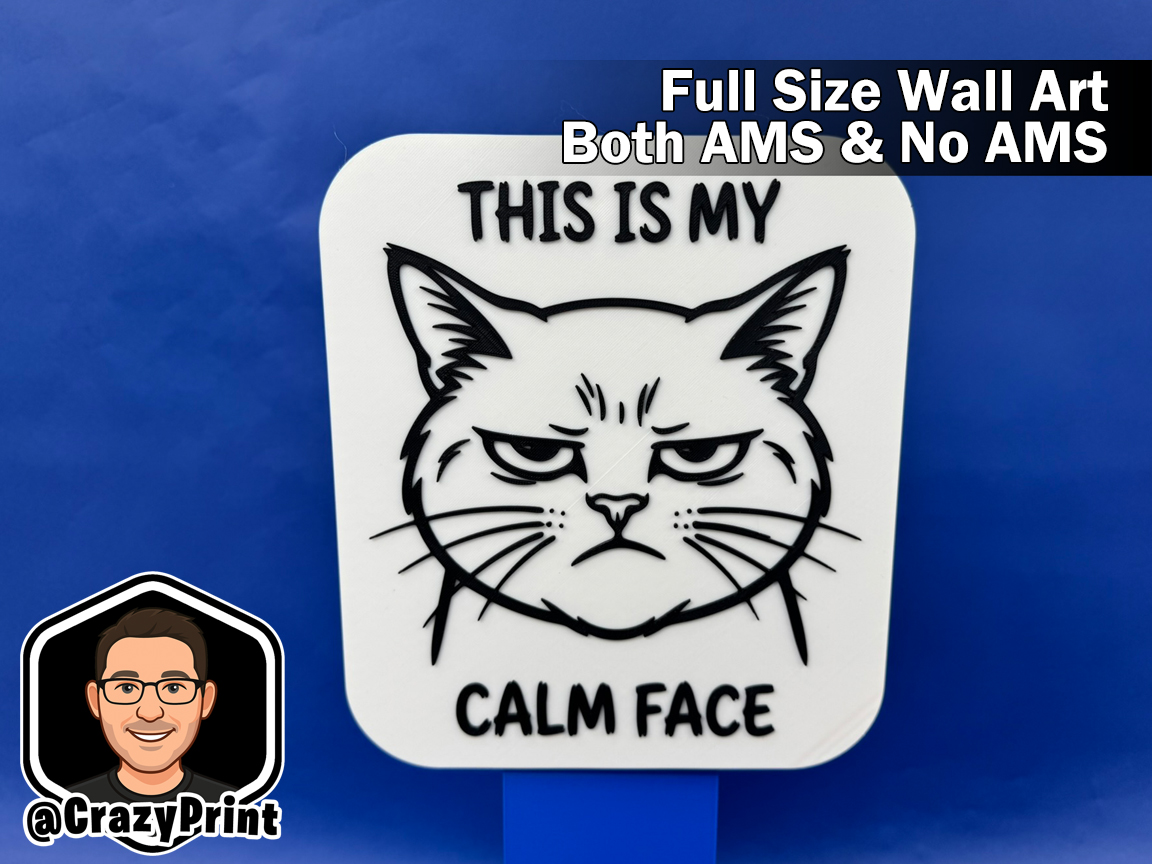This is my Calm Face - Funny Cat Lover Sign-No AMS