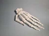 Real Scale 1:1