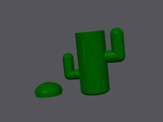 cactus container