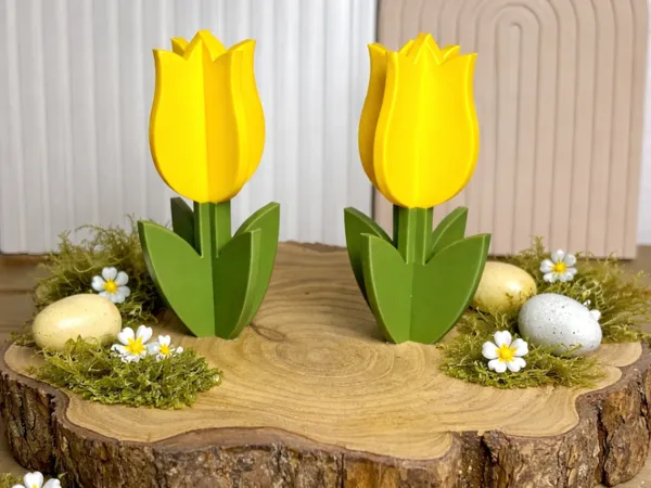 https://makerworld.bblmw.com/makerworld/model/USf3627860c0d3e6/design/2ab67b03686f2a19.png