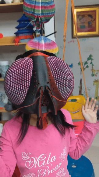 Fly Head Mask V2