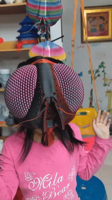 Fly Head Mask V2