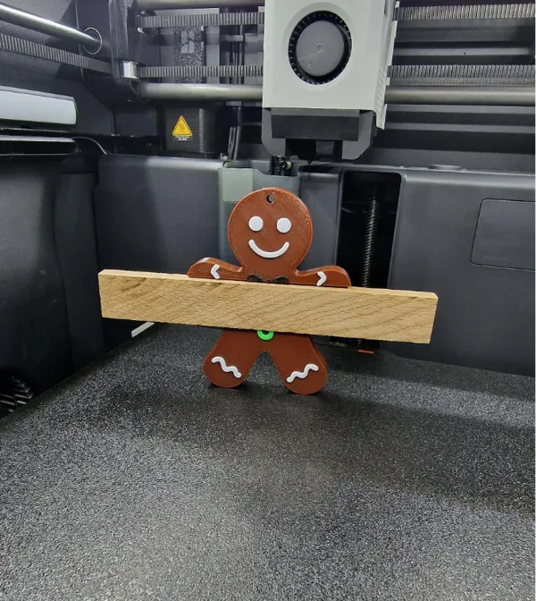 https://makerworld.bblmw.com/makerworld/model/USf36cb7e757c7f9/design/2024-12-07_8a0e56cf4eb078.jpg