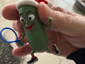 Mr Pickleball
