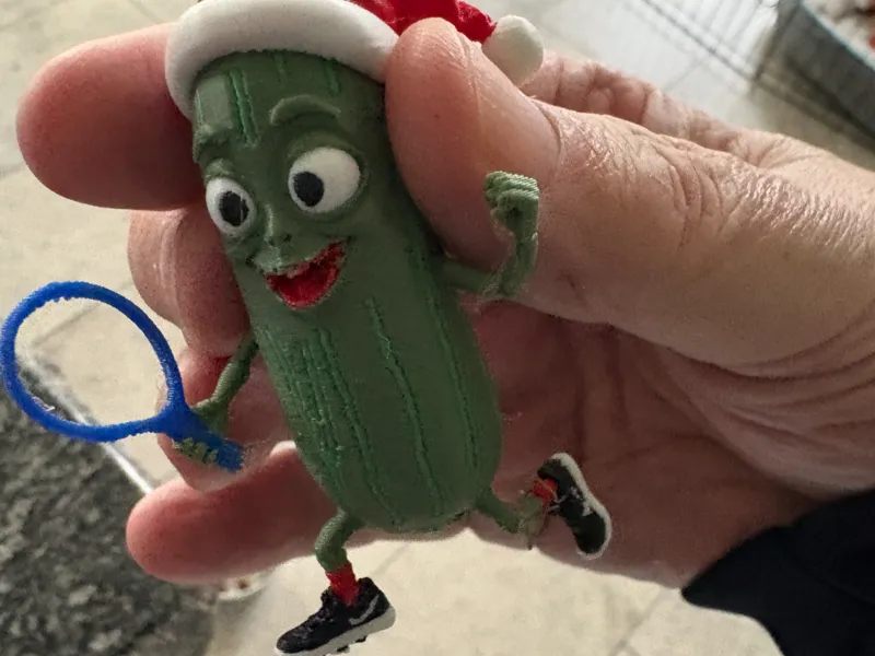 Mr Pickleball