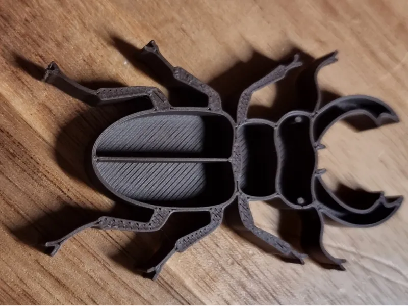 Insekten_Tränke_Hirschhornkäfer