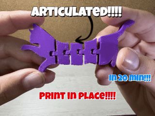Articulated Cat