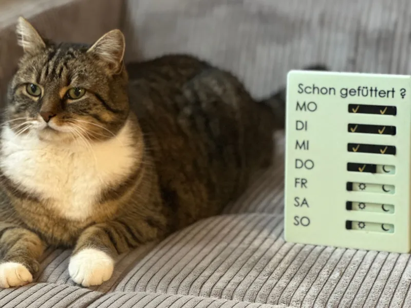 Futtertafel, Futterplaner, Futter Organizer