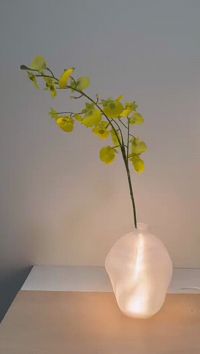 0.1mm 层高, 4 层墙, 20% 填充