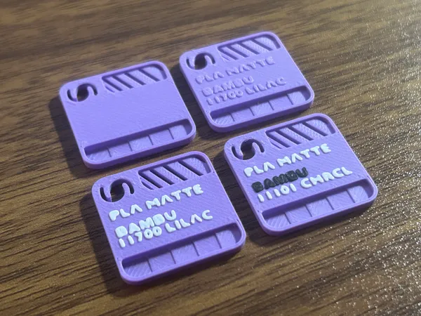 https://makerworld.bblmw.com/makerworld/model/USf378b69971b170/design/2025-01-18_2b8192cc754a7.png