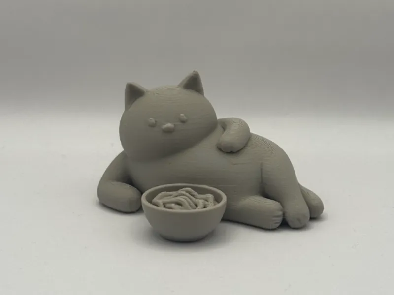 Noodle Cat