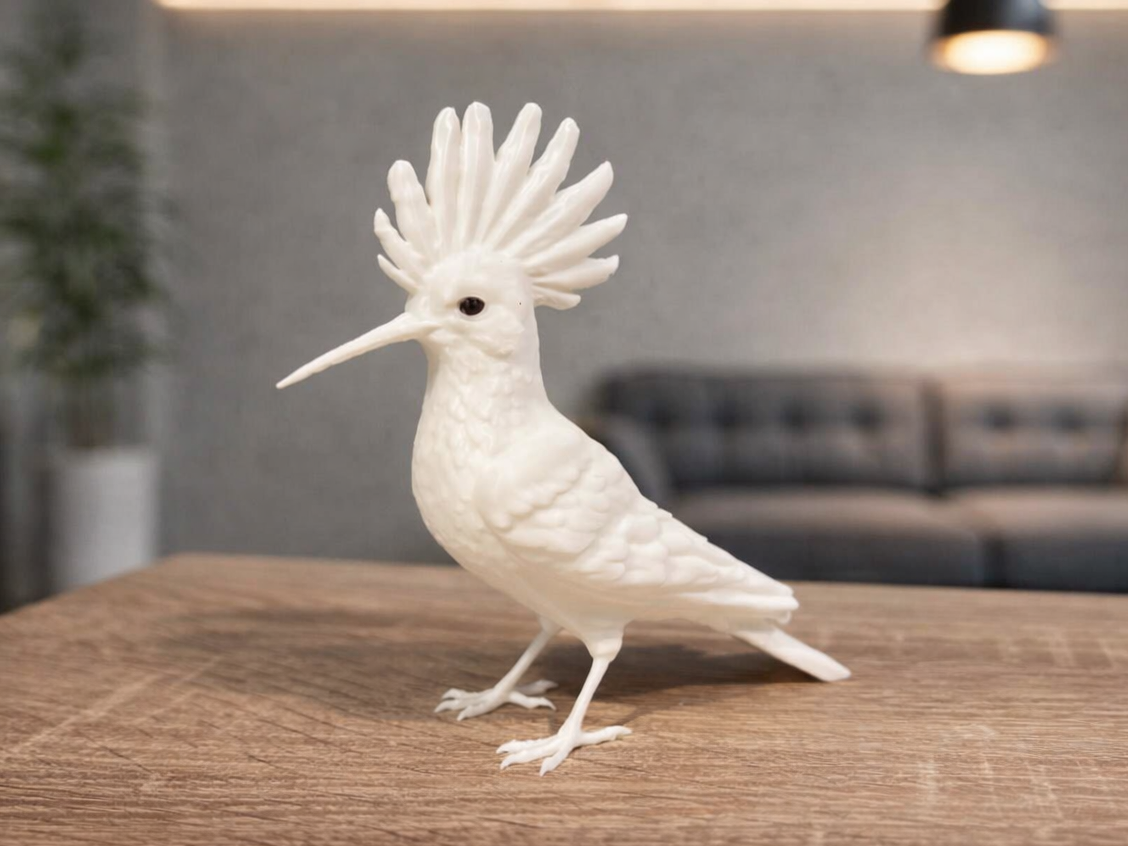 Eurasian hoopoe - Animal - Bird - Decor