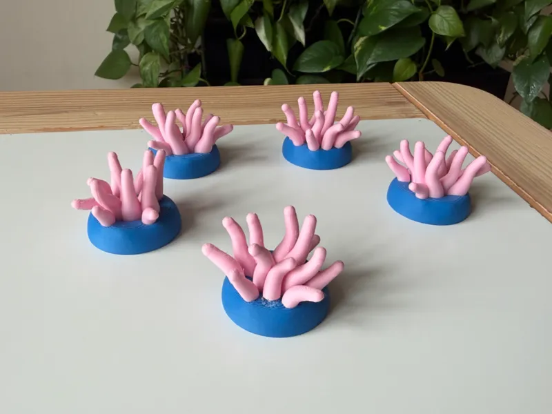 Sea anemone