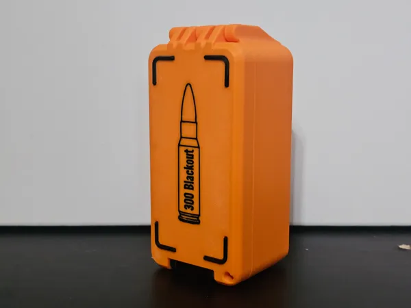 https://makerworld.bblmw.com/makerworld/model/USf382ba036ec5ec/design/fc1890a994f5d9ed.jpg