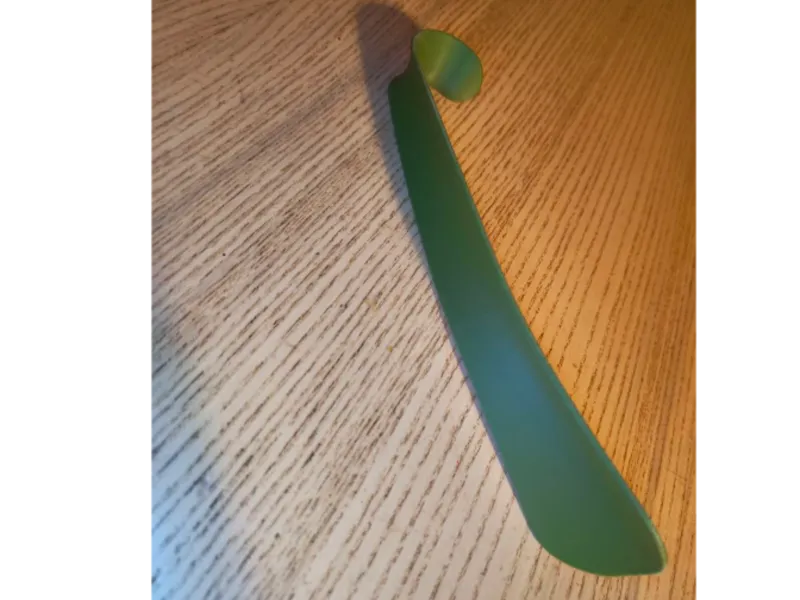 Shoehorn