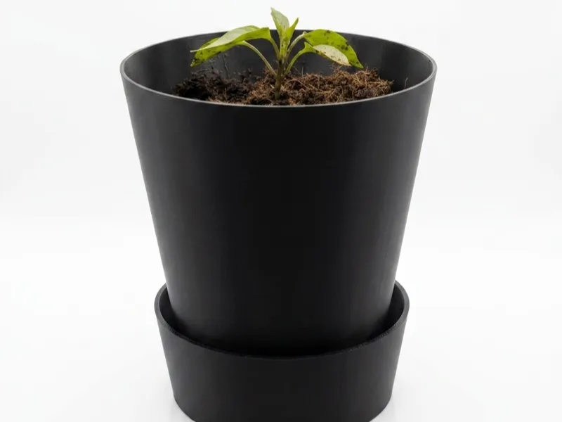 Flower Pot