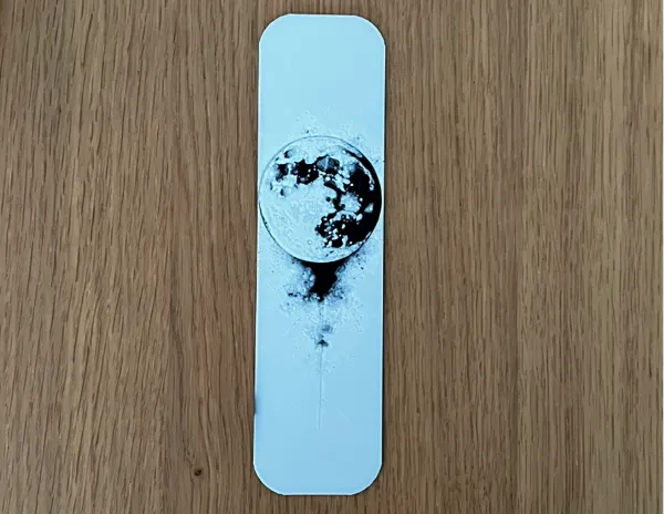 https://makerworld.bblmw.com/makerworld/model/USf3870e4f0c905e/design/2025-01-06_f2dcf641f671.jpeg