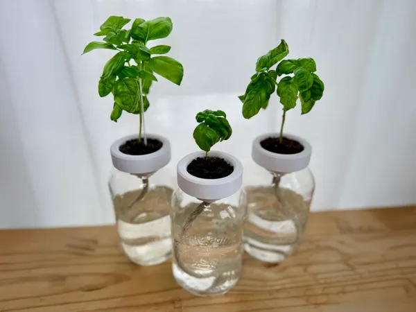 https://makerworld.bblmw.com/makerworld/model/USf388ab90145470/design/2025-04-18_d59ff8c65045e.png