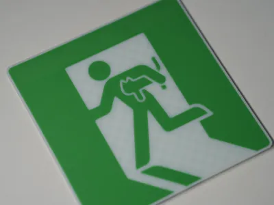 Exit with your cat