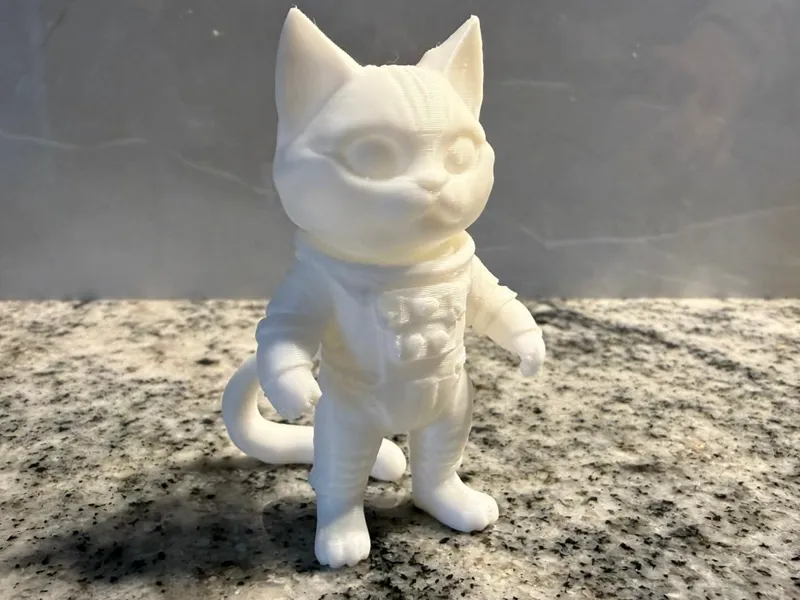 Astronaut Cat