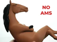 no ams