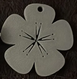 cherry blossom with hole