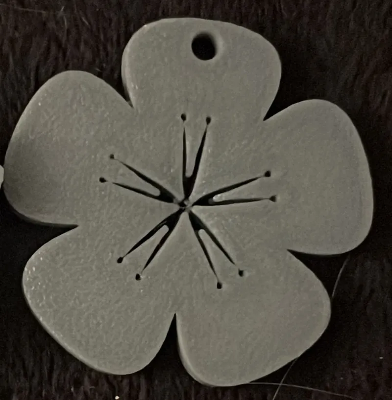 cherry blossom with hole