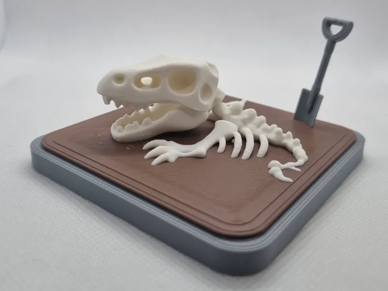 Mini Excavación de Esqueleto de T-Rex