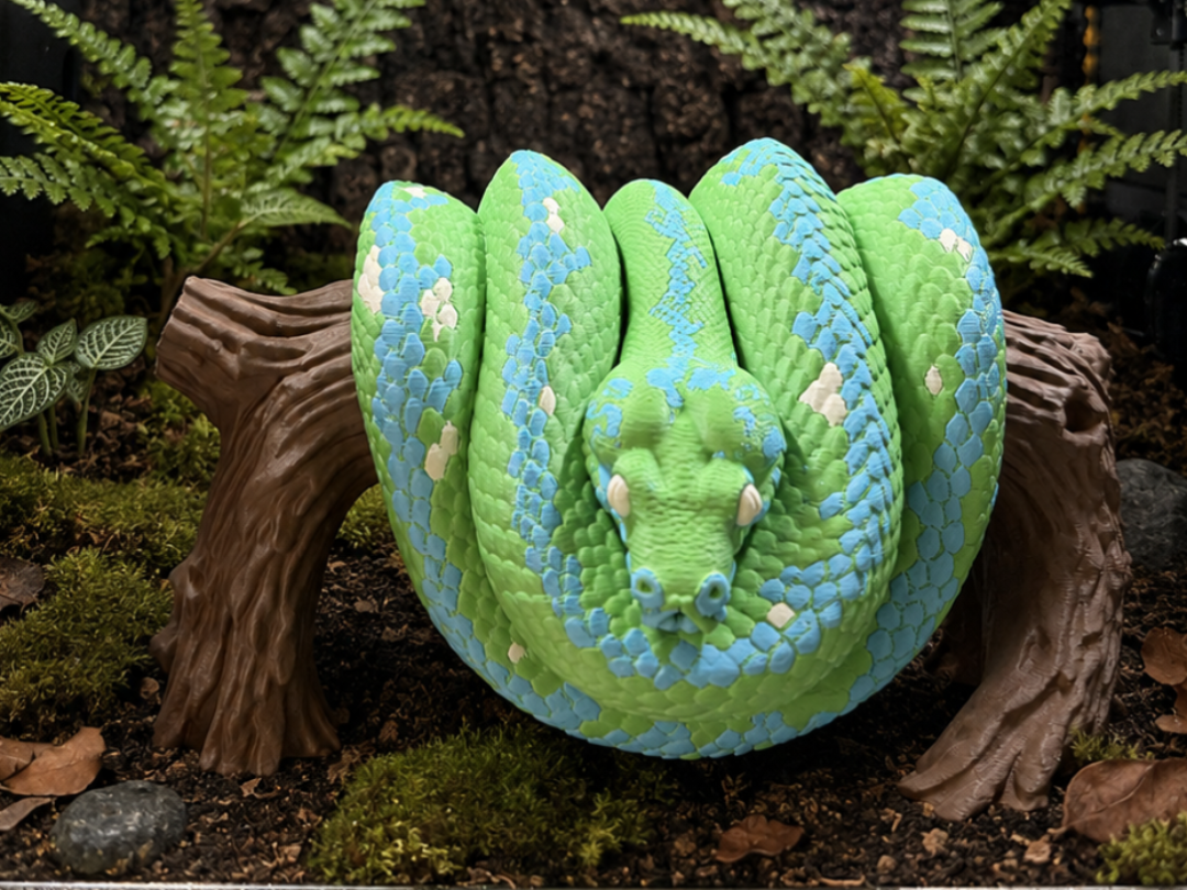 Grüner Baumpython – realistisch - Morelia viridis - 1