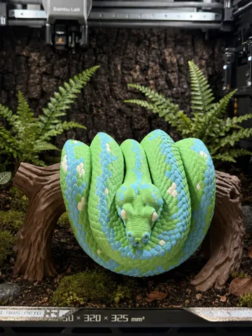 Modelo para impresión 3D: Grüner Baumpython – realistisch - Morelia viridis — vista de referencia 2
