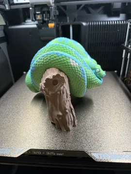 Modelo para impresión 3D: Grüner Baumpython – realistisch - Morelia viridis — vista de referencia 5