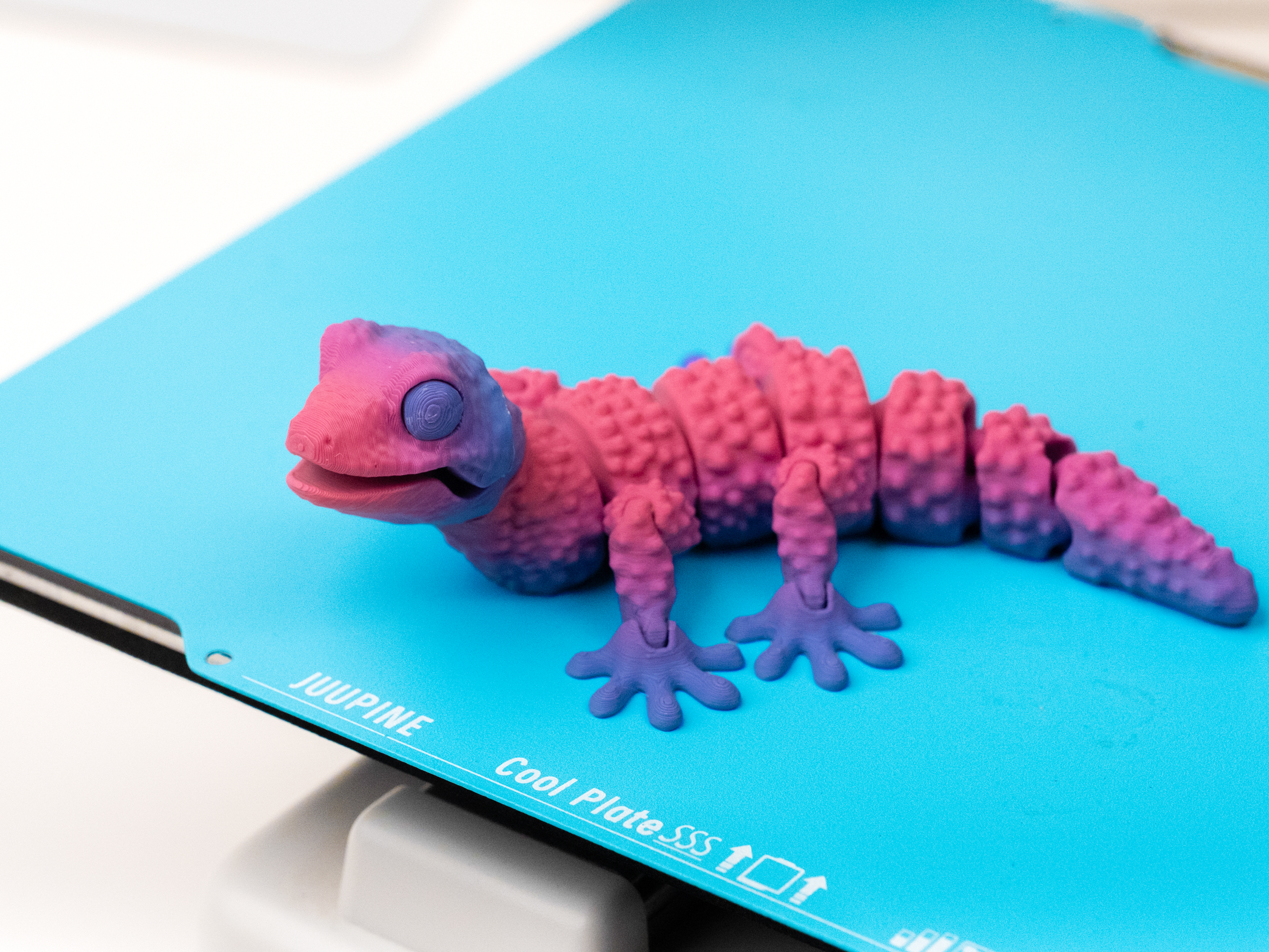 flexi Gecko - 1