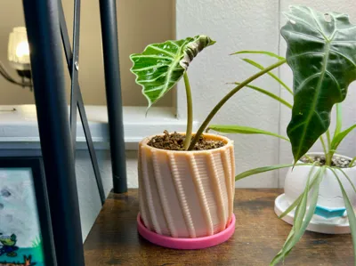 HelixBloom Planter with Hidden Message Tray