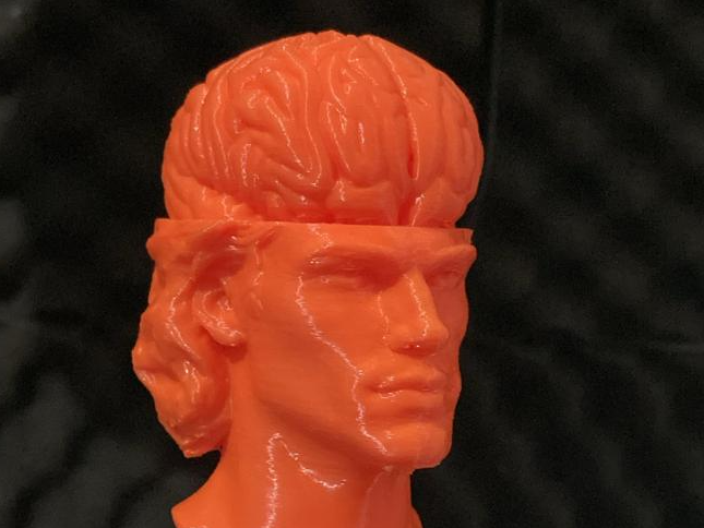 MEGABRAIN Força Total Impressão 3D Perfeita