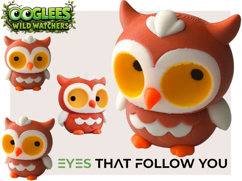 OOglees Búho | Wild Watchers