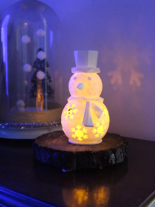 https://makerworld.bblmw.com/makerworld/model/USf3a9e385d59b9c/design/2024-11-22_d74f2a9558d45.jpg
