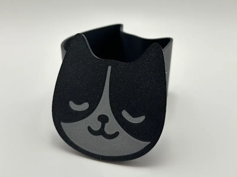 Cat Box/Container