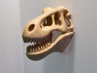 T Rex skull