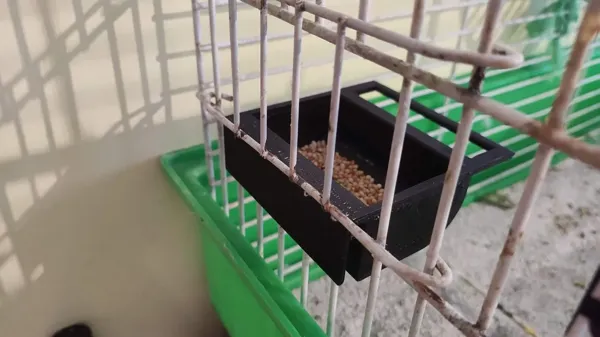 Distributeur de graines pour oiseaux en cage