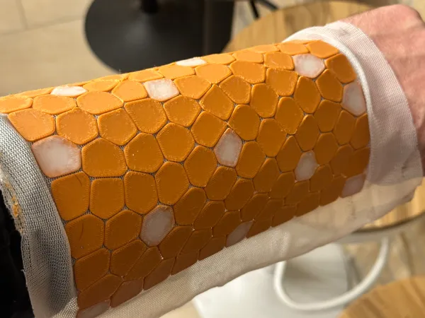 https://makerworld.bblmw.com/makerworld/model/USf3c437b8d74c22/design/2023-11-20_965cc5de0f6a88.jpg
