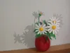 A small daisy