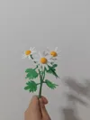 Three chrysanthemums in one print