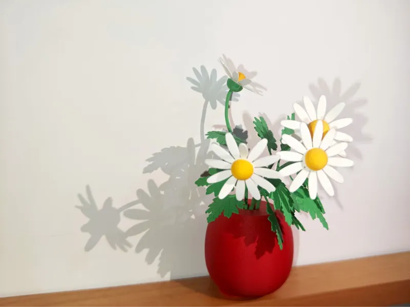 小雏菊